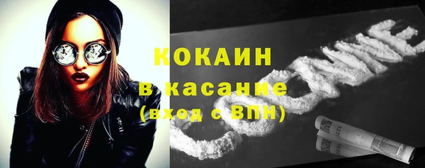 тгк Алзамай