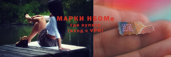 хмурый Арсеньев