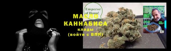 хмурый Арсеньев