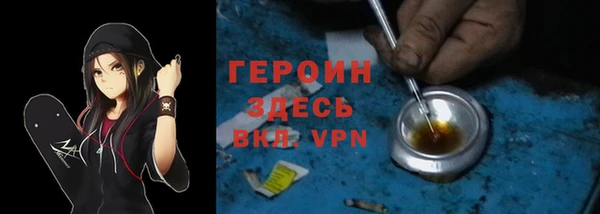 хмурый Арсеньев