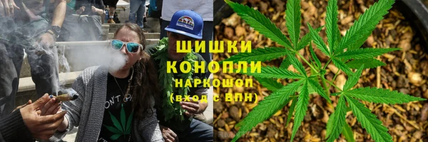 тгк Аркадак