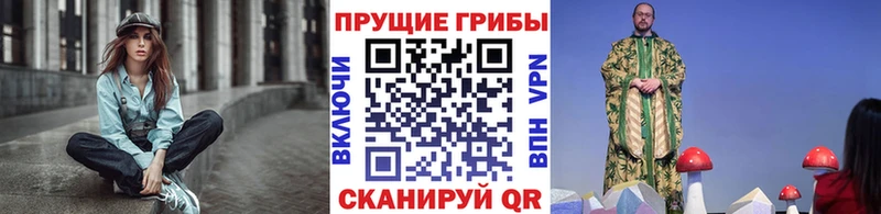 Псилоцибиновые грибы Psilocybine cubensis  Нововоронеж 