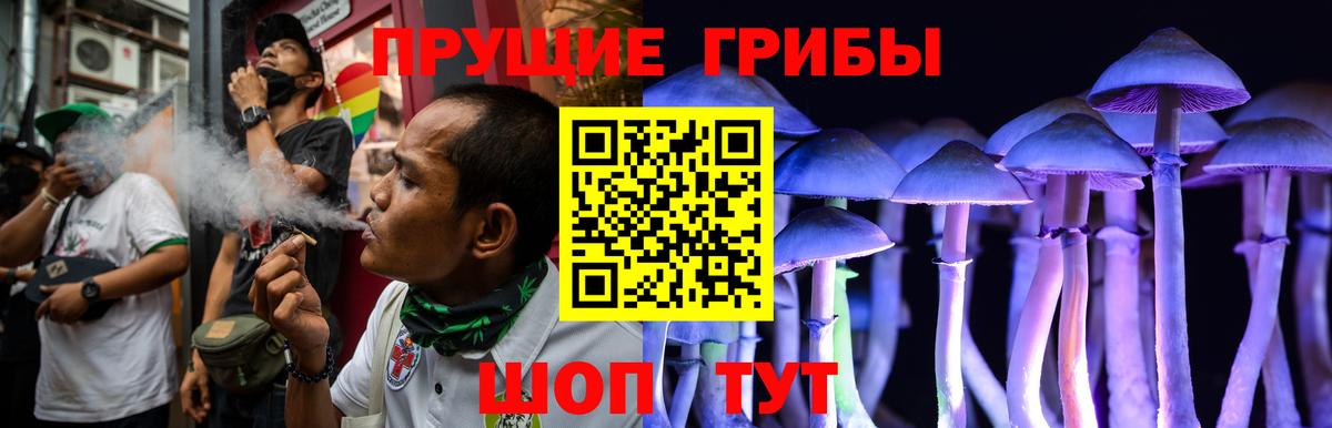 Нововоронеж  Галлюциногенные грибы Cubensis  Вход с VPN  наркотики  Галлюциногенные грибы Cubensis 