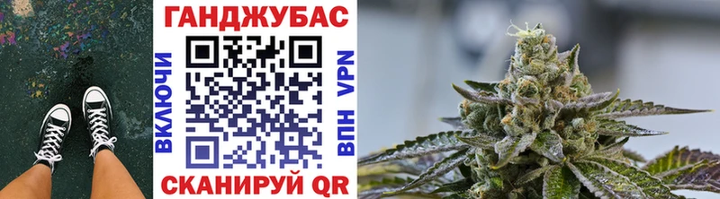 Бошки Шишки гибрид как найти наркотики Нововоронеж